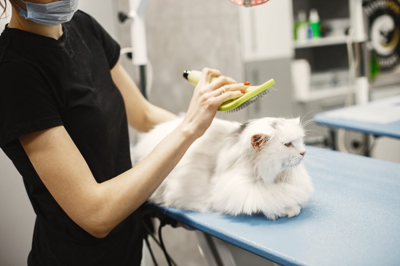 Flea and Tick Prevention: Safeguarding Your Cat's Health and Well-Being ... - Self Grooming Habits Affected Flea Prevention On Outdoor Cats